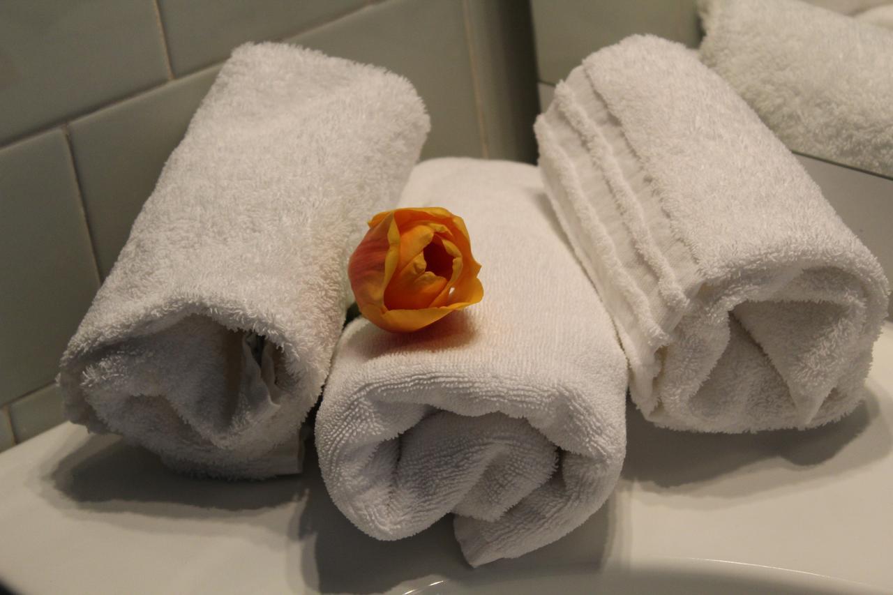 Hotel Salus サリーチェ・テルメ エクステリア 写真